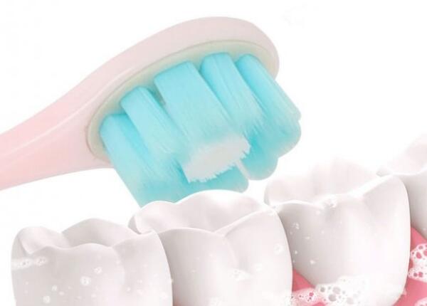 扁圓形電動牙刷刷頭