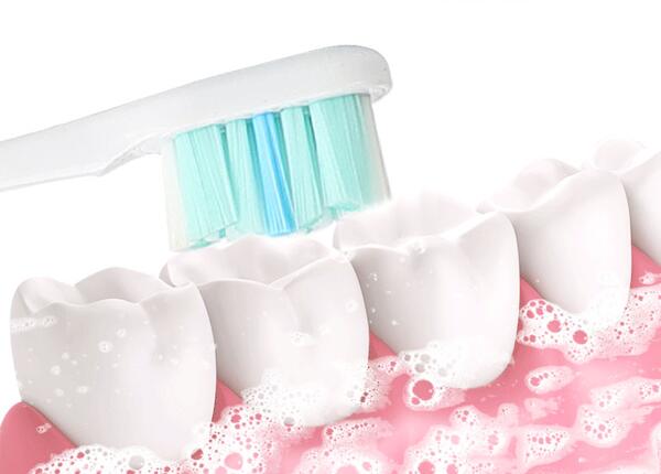 旋轉牙刷替換頭 旋轉牙刷替換頭種類